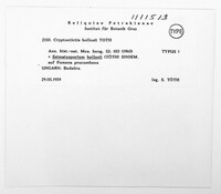Image Associated With the Occurence